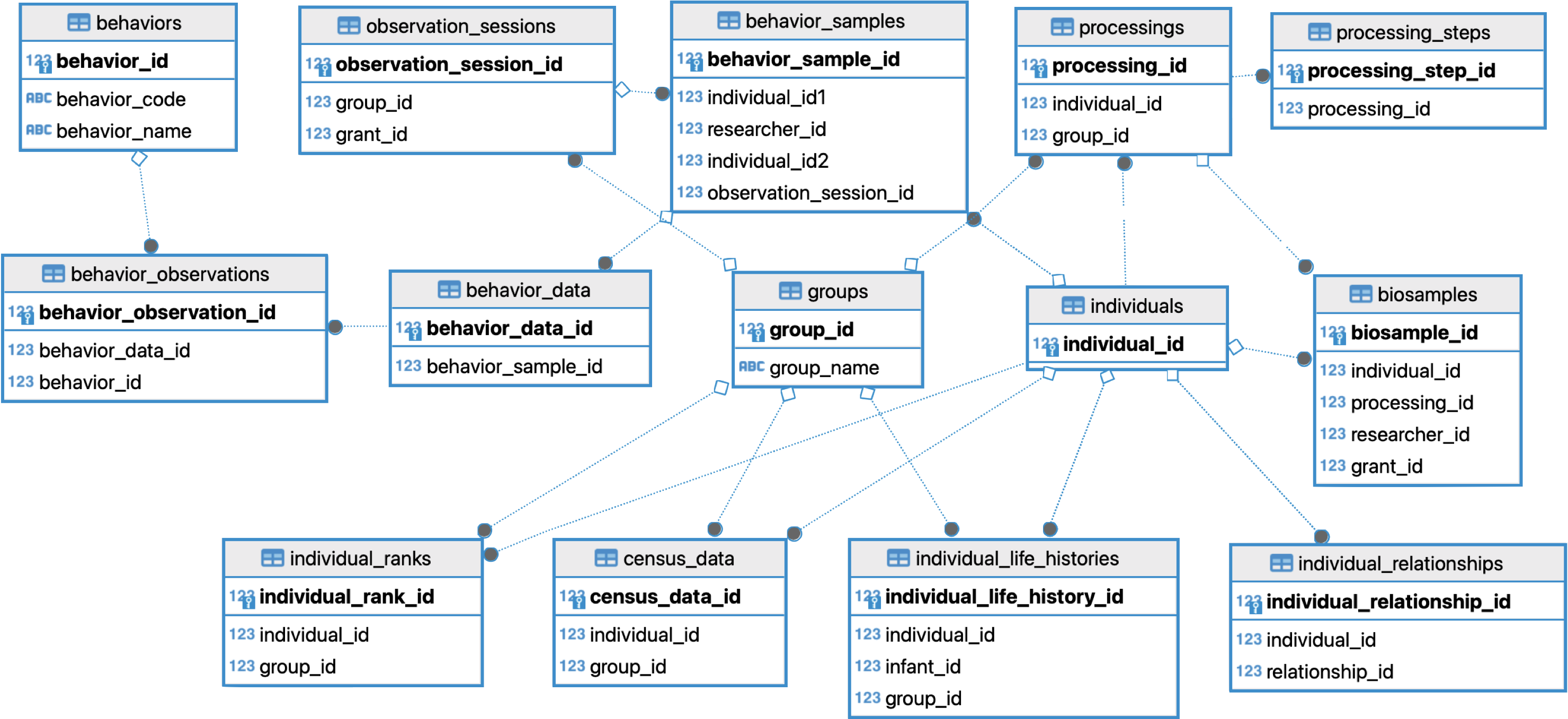 Database schema